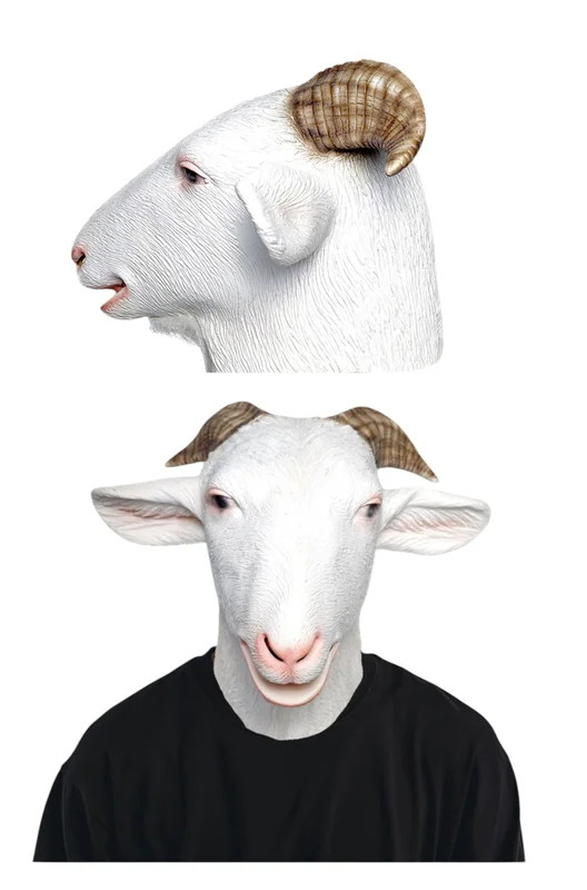 5ieujeb0sl1