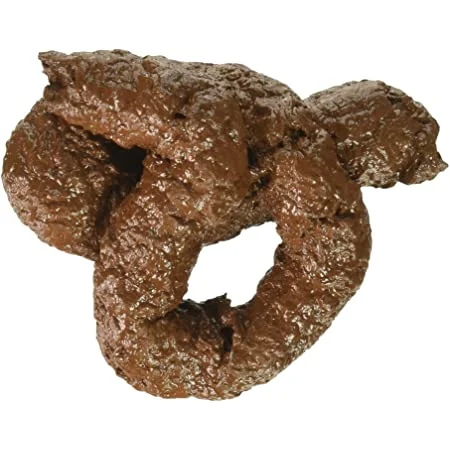 sn0ornioypa